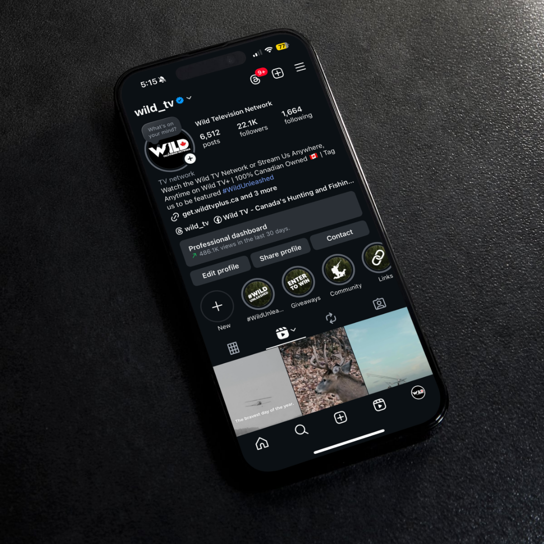 Instagram reels grid preview